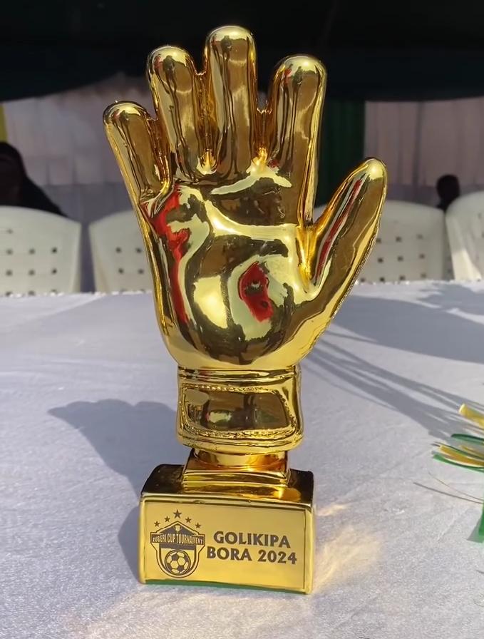 Zawadi ya Golikipa Bora